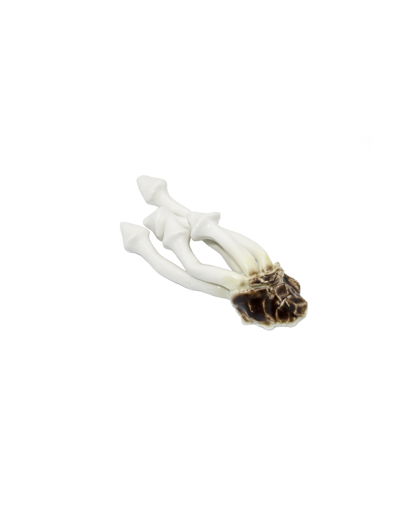 White Oyster Mushroom Magnet
